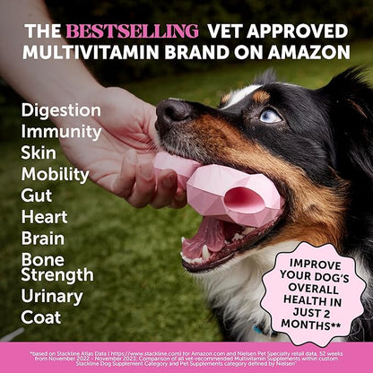 Multivitamin Dog Supplement, Glucosamine Chondroitin for Dogs, Probiotics, Omega Fish Oil, Dog Supplements & Vitamins, Vitamins for Skin and Coat Allergies (Chicken 90 ct)