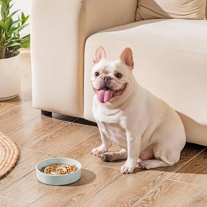 vancasso Slow Feeder Dog Bowl, 0.6 Cups Ceramic Dog Food Dish for Fast Eaters Small Breed, Puzzle Bowl for Small Dogs and Cats, Grayish Cyan