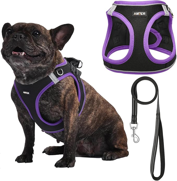 AMTOR Small Dog Harness with Leash Set, No Escape Easy Walk Puppy Harnesses for Training Walking, Step-in Reflective Soft Dogs Vest for XS S Medium Extra-Small Large Sized Dog(S,Black/Purple)