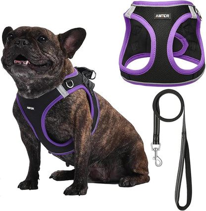 AMTOR Small Dog Harness with Leash Set, No Escape Easy Walk Puppy Harnesses for Training Walking, Step-in Reflective Soft Dogs Vest for XS S Medium Extra-Small Large Sized Dog(S,Black/Purple)