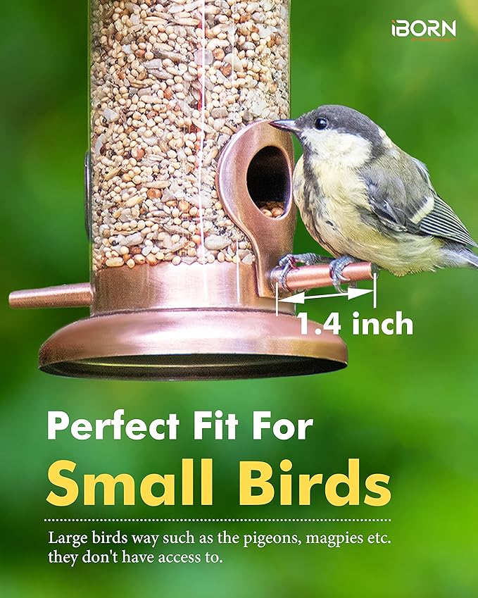 iBorn Metal Bird Feeder Hanging Wild Bird Feeders for Mix Seed Blends Heavy Duty All Metal Finishing, Copper Finish, 8 Inch 2 Port (Seed is not Included)