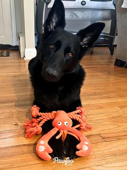 Pawfoo Lab Large Squeaky Dog Toys, Rope Tug of War Dog Toys for Puppy, Small, Medium, Large Dogs, Interactive Stuffed Lobster Plush Toys