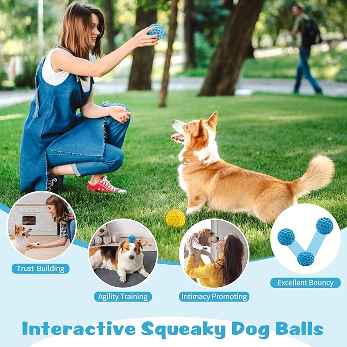 HIPPIH Indestructible Squeaky Dog Toys, Interactive Dog Balls 2 Pack, Dog Chew Toys for Aggressive Chewers, Natural Rubber Puppy Toys for Large/Medium Dogs, Tough Puppy Teething Toys, Relieve Anxiety