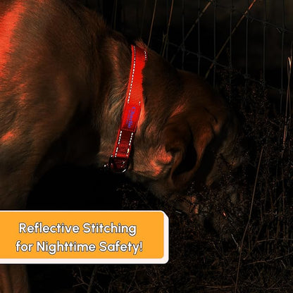 PAWBLEFY Personalized Dog Collars - Reflective Nylon Collar Customized with Name and Phone Number Adjustable Sizes for Small Dogs, Medium, Large 4 Colors Male Female boy Girl Puppies