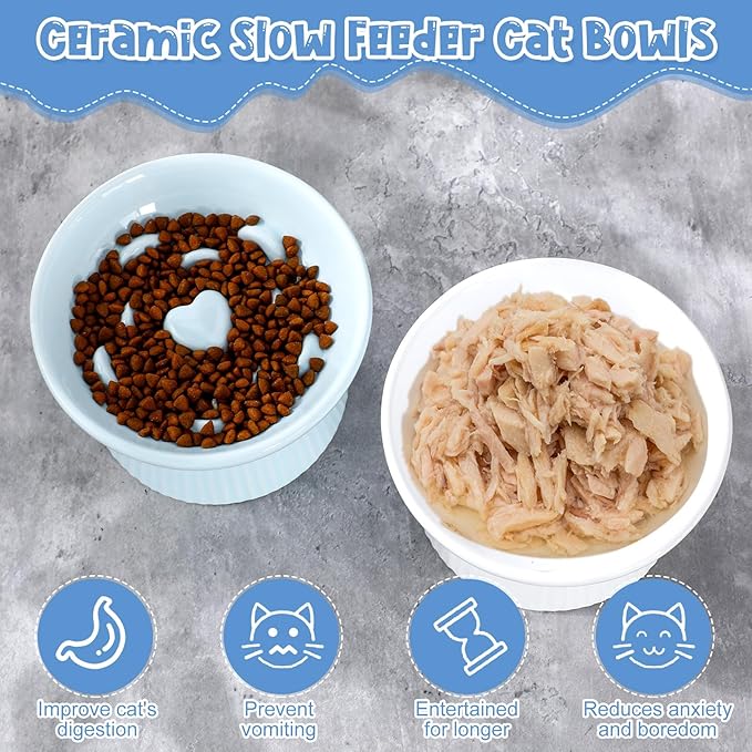 Tioncy 2 Pcs Raised Cat Slow Feeder Bowl Ceramic Elevated Cat Dog Food Bowl No Spill High Edge for Dry Wet Food and Water Easy to Clean, Dishwasher Safe(White, Blue)