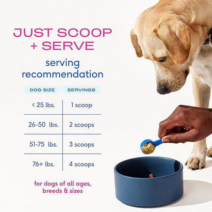 Native Pet Advanced Care - Hip & Joint Supplement for Dogs - Supports Joints, Cartilage, Muscles & Anti-Inflammatory with HMB, UC-II Collagen, Green Lipped Mussel & Hyaluronic Acid - 30 Scoops