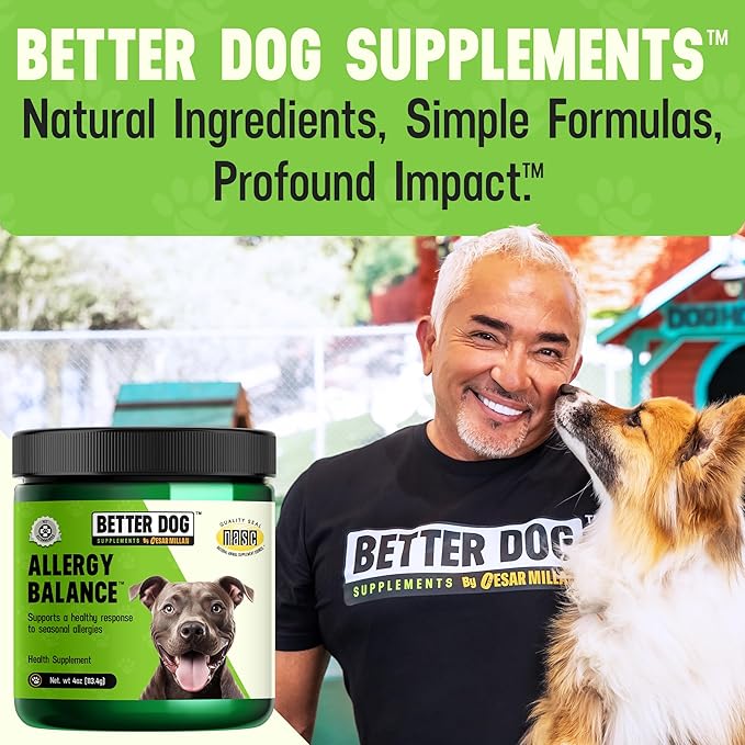 Cesar Millan Better Dog Allergy Supplements Powder - Allergy Balance Supports Seasonal Allergies & Occasional Dog Allergy Relief with Natural Ingredients - 4 oz, 60-Day Average Supply