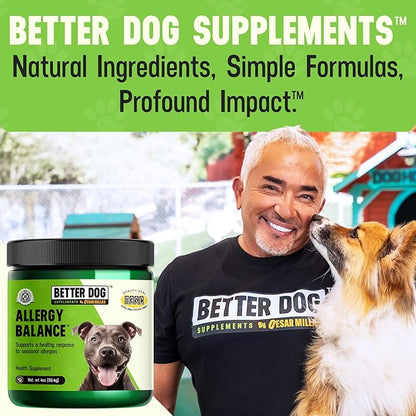 Cesar Millan Better Dog Allergy Supplements Powder - Allergy Balance Supports Seasonal Allergies & Occasional Dog Allergy Relief with Natural Ingredients - 4 oz, 60-Day Average Supply