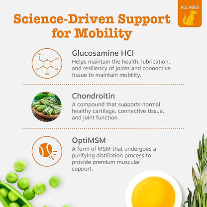 Zesty Paws Hip and Joint for Dogs, Glucosamine for Dogs Hip and Joint Supplement with Chondroitin, MSM, Vitamins C & E - Bacon, 50 Count