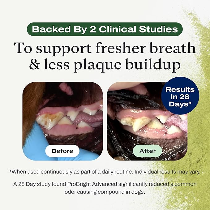 PetLab Co. ProBright Advanced Dental Powder - Dog Breath Freshener - Teeth Cleaning Made Easy – Targets Tartar & Bad Breath - Packaging May Vary - Formulated for Large Dogs