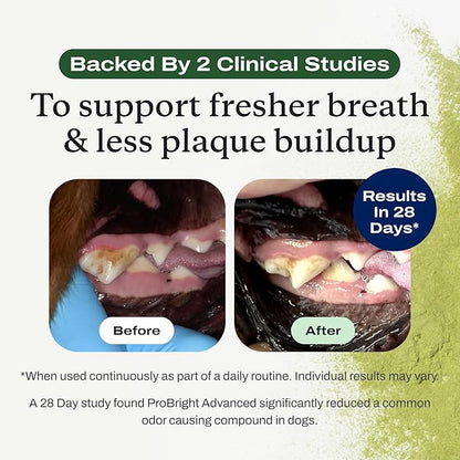PetLab Co. ProBright Advanced Dental Powder - Dog Breath Freshener - Teeth Cleaning Made Easy – Targets Tartar & Bad Breath - Packaging May Vary - Formulated for Large Dogs