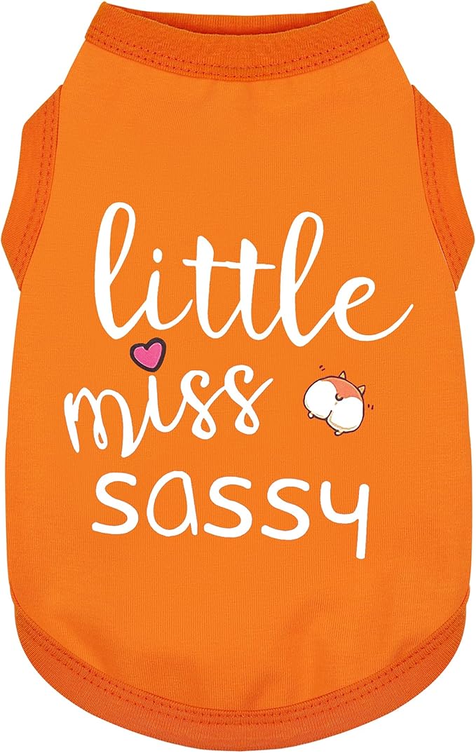 Paiaite Dog Clothes Fashionable Sleeveless Pet Vest: 'Little Miss Sassy' Printed Cotton Dog Shirt, Ideal for Small, Medium, and Large Breeds, Ensuring Comfort and Breathability Orange XS