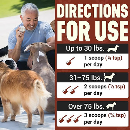 Cesar Millan Better Dog Immune Support Supplement Powder - Pack Protector Immune Support for Dogs, Energy & Internal Balance Dog Supplements w/Proprietary Herbal Blend - 4 oz 60-Day Average Supply