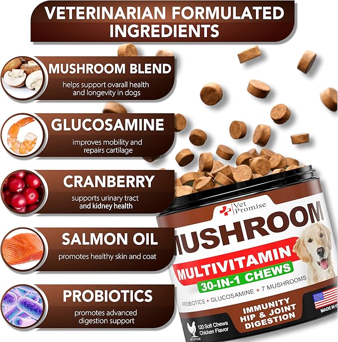 (2 Pack) Mushroom for Dogs - 340 Chews - Turkey Tail - Mushroom Supplement for Dogs - Lions Mane - Reishi - Immunity Support Multivitamin Vitamins - Joint Health - Energy - Gut - Skin - Made in USA