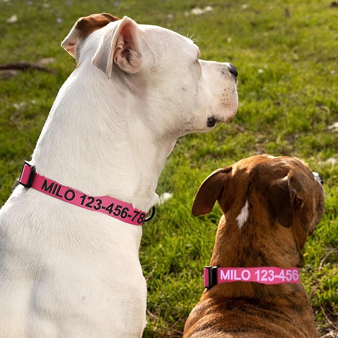Pawtitas Personalized Dog Collar Extra Small Dog Collar Embroider with Name Phone Number Puppy Collar Adjustable Customized Collar for Extra Small Dogs Breeds Puppy Pink Dog Collar