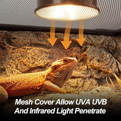 WACOOL TERRA Large Reptile Tank 25 Gallon, 360°Full Vision Glass Reptile Terrarium with Top Mesh Lid for Beaded Dragon Lizard Gecko Snake Hermit Crab Use, 30"(W) X 12"(D) X 16"（H）