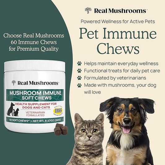 Real Mushroom Immune Pet Chews – For Daily Digestive & Immune Health – Mushrooms for Dogs & Cats Functional Treat – Mushroom Supplement for Dogs & Cats – 1 to 4 Chews For All Breeds & Sizes (60 Count)