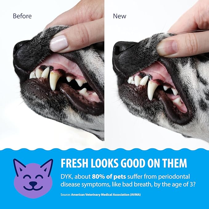 Dental Fresh Water Additive for Dogs and Cats, Advanced Formula, 8 Fl Oz, Plaque & Tartar Daily Oral Care