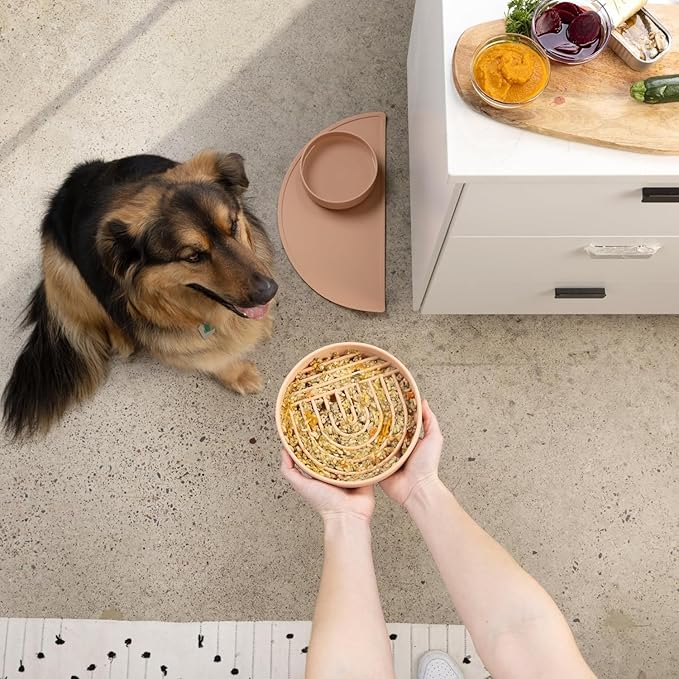 Should We Go? Complete Pet Feeding Set: Slow Feeder & Water Bowl with Spill-Proof Silicone Mat - Ideal for Small to Medium Dogs, Non-Slip, Easy Clean, Raised Edges, Durable Silicone - Blush