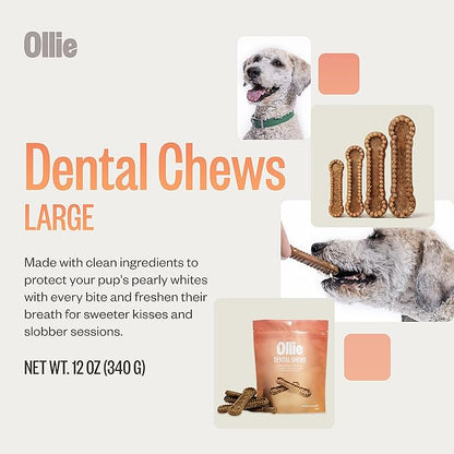 Ollie Dental Chews for Large Dogs, 12 Oz, Fresh Breath, Teeth Cleaning Treats, Sticks for Dog Oral Care, with Parsley and Cinnimon, for Pups 51 lbs and Above