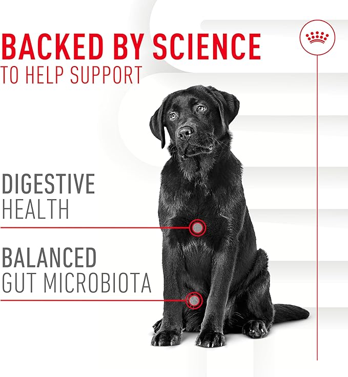 Royal Canin Digestive Dog Supplement Soft Chews for Adult Dogs, 60 Count (Pack of 4)