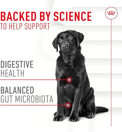 Royal Canin Digestive Dog Supplement Soft Chews for Adult Dogs, 60 Count (Pack of 4)