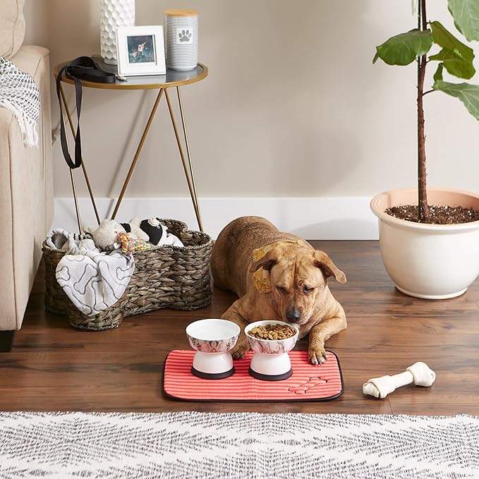 Bone Dry Machine Washable, Ultra Absorbent Pet Mat, 12x18", Red Stripe