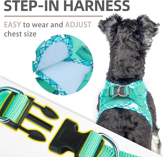 PUPTECK Dog Harness and Leash Set for Small Medium Dogs No Pull Step-in Soft Mesh Puppy Cat Vest Harnesses Reflective at Night, Green L