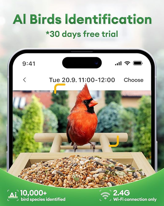 Smart Bird Feeder with Camera, 2K Video Bamboo Bird Feeders with Solar Powered, IP65 Waterproof, AI Birds ID for 10,000+ Species, WiFi Birdhouse Camera for Birds Watching Gifts
