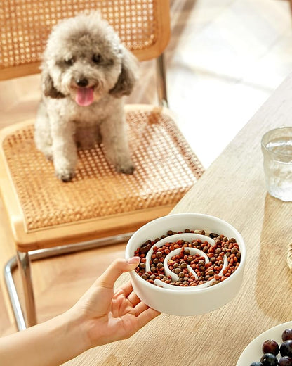 Ceramic Slow Feeder Dog Bowls, 0.6 Cup Slow Feeder for Small Dogs and Cats, Puzzle Maze Bowl, Prevents Choking, 6in, White
