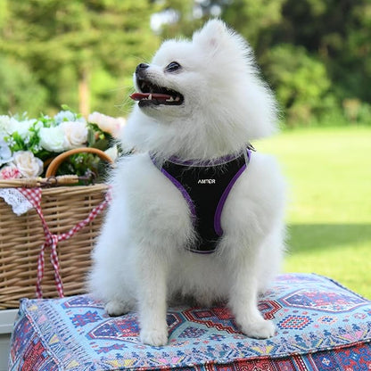AMTOR Small Dog Harness with Leash Set, No Escape Easy Walk Puppy Harnesses for Training Walking, Step-in Reflective Soft Dogs Vest for XS S Medium Extra-Small Large Sized Dog(S,Black/Purple)