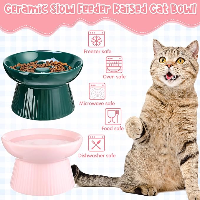 Tioncy 2 Pcs Raised Cat Slow Feeder Bowl Ceramic Elevated Cat Dog Food Bowl No Spill High Edge for Dry Wet Food and Water Easy to Clean, Dishwasher Safe(Pink, Dark Green)