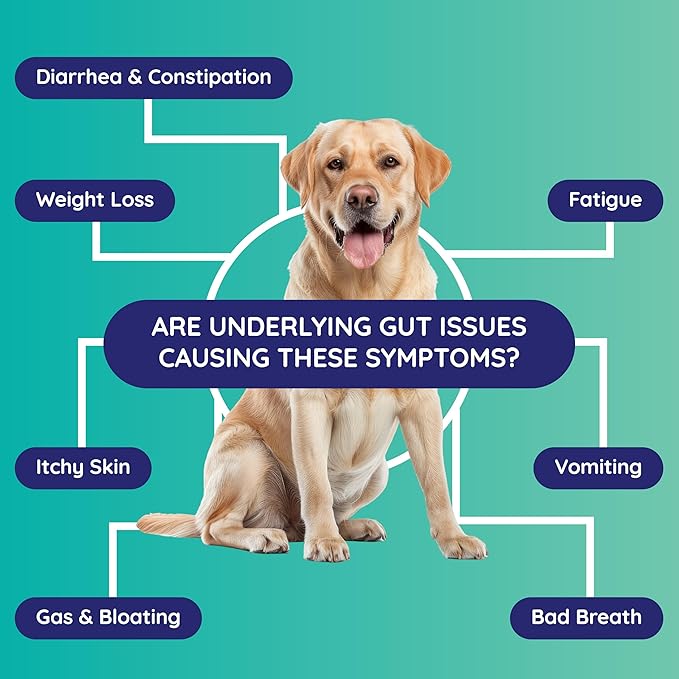 Comprehensive Gut Health Check for Dogs - at-Home Stool Test for Digestion, Immune & Leaky Gut Symptoms Like Diarrhea, Allergies, Itchy Skin, Bad Breath - Easy Non-Invasive Testing
