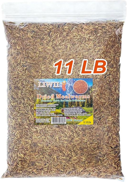 Dried Mealworms -11 LBS- 100% Natural Non GMO High Protein Mealworms - Bulk Mealworms for Wild Birds, Chicken Treats, Hamster Food, Gecko Food, Turtle Food, Lizard Food