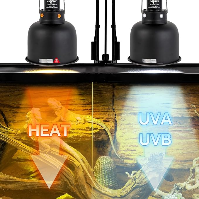 CAVACHEW 2 Pack Reptile Light Fixture, 5.5in Deep Dome Reptile Lamp Fixture, Optical Reflection Cover, Separate Switch & Hook, Terrarium Light Fixture for Reptile Heat Basking UVB Bulbs, 100W, Black