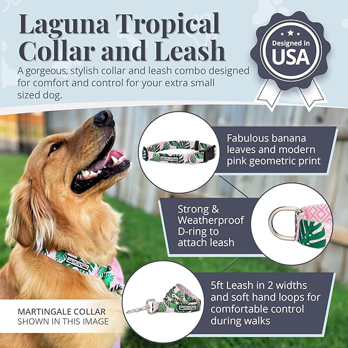 Lucky Love Dog, Tropical Matching Dog Collar & Leash Set, Soft & Comfy, Vivid Pink Color Collar and Leash for Female Male Dogs - (X-Small, Laguna Combo)