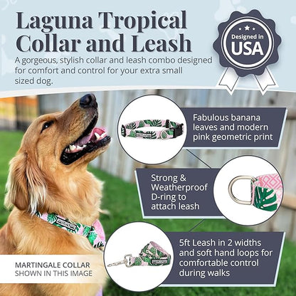 Lucky Love Dog, Tropical Matching Dog Collar & Leash Set, Soft & Comfy, Vivid Pink Color Collar and Leash for Female Male Dogs - (X-Small, Laguna Combo)