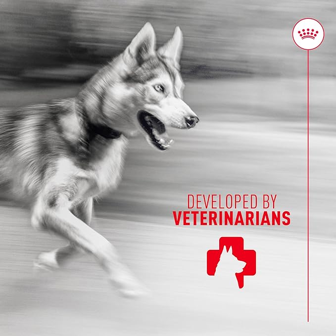Royal Canin Joint Dog Supplement Soft Chews for Adult Dogs, 60 Count (Pack of 3)