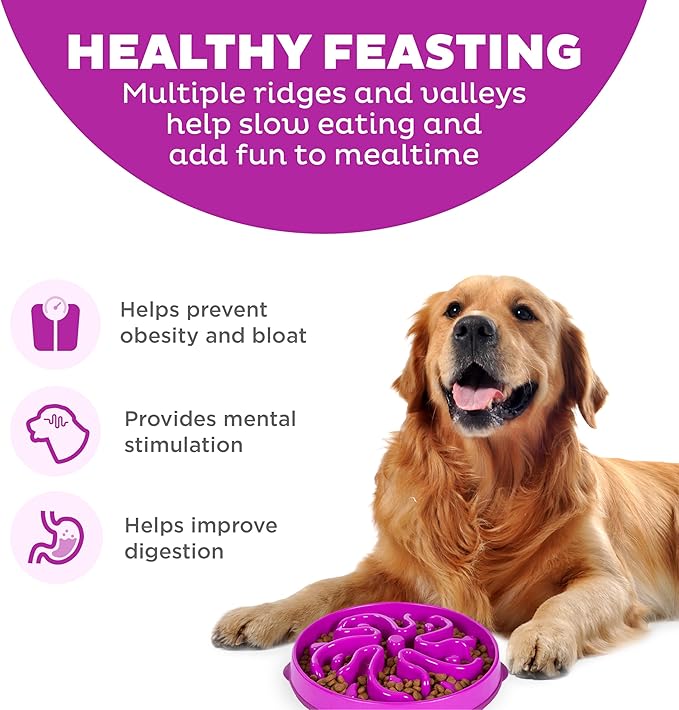 Outward Hound Large Slow Feeder Bowl, Puzzle Maze for Fast Eaters, Medium to Large Dogs, Helps Prevent Bloat & Aid Digestion, Holds 4 Cups Wet or Dry Food, Non-Slip, Made Without BPA, Purple