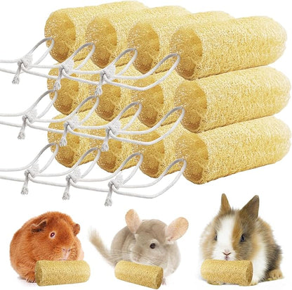 Apatal 12 Pcs Rabbit Chew Toys Natural Bunny Loofah Chew Toy Chinchilla Teeth Grinding Toys Guinea Pig Fibre-Rich Treats Enrichment Bunny Accessories for Rabbits Hamster (S)