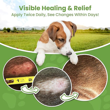 Hot Spot Treatment for Dogs - Pet Wound Care, Healing Ointment for Pets Itchy Skin Relief, Dry Skin Treatment, Natural Allergy Relief, Dog Paw Balm + Manuka Honey, Aloe Vera, Vitamin E (2 Oz.)