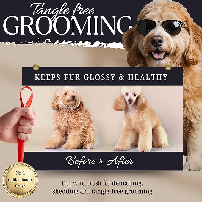 Dog Slicker Brush - Large - Protective Ball Tipped Pins Massages Pet Skin - Professional Groomer Dog Brush for Goldendoodle - Golden Retriever Brush (Large Size)