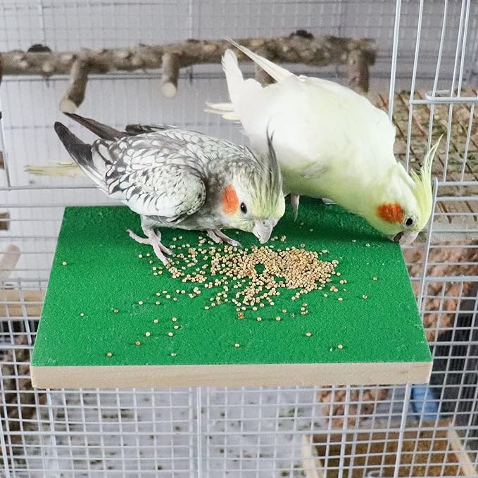 Dnoifne 7.9×5.9 Inches Large Bird Perch Stand Platform, Natural Wooden Bird Cage Accessories, Bird Stand Perch with Rough Quartz Sand Surface for Parrot, Parakeet, Budgies, Cockatiel, Rats