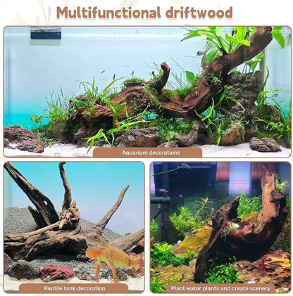 PINVNBY Natural Driftwood for Aquarium Decor Fish Tank Decorations Reptile Decor Driftwood Decor, 3 Pieces 7"-11" Assorted Driftwood Branch
