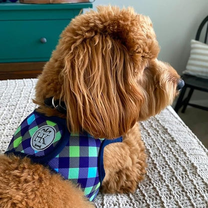 Huxley & Kent Hudson Walking & Training Harness - Blue/Green Check (Large, 22-35lbs) - Easy Control Step-in Mesh Vest Harness with Reflective Strips for Safety - H&K