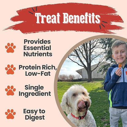 Farm To Pet Dog Training Treats, Healthy Turkey Dog Treats - 12 oz, Crunchy, Single Ingredient, All Natural Turkey Chips, Easy to Digest, Great for Dogs with Chicken Allergies, Made in USA