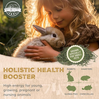 Gold Buckle Co 5lb Farm Fresh, USA Grown, Organic Alfalfa Hay for Rabbits, Guinea Pigs, Chinchillas, Goats, Hamsters & Ferrets - Small Animal Food Rich in Protein & Fiber - Just Dried, Hand-Selected