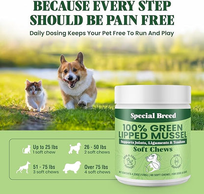Green Lipped Mussel for Dogs & Cats - 60 Soft Chews - New Zealand Green Lipped Mussels - Natural Hip & Joint Supplement for Joints, Tendons, Ligaments, Muscles