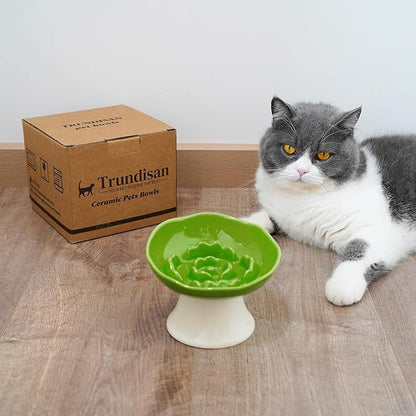 Ceramic Slow Feeder Bowl for Cats and Small Dogs, Elevated Tilted Pet Food Dish, Whisker Friendly Anti-Vomit Design, Heavy Stable Base, Dishwasher Safe， 5 Colors Options (Leaf Green)