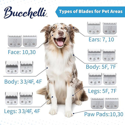 Detachable A Series 15 Blade Dog Grooming Cut Length 3/64" - 1.0mm Japanese Carbonized Steel Blades 15 Clipper Blades and Dog Clipper Blades 15 Compatible A5 Series Clipper for Dogs(15)